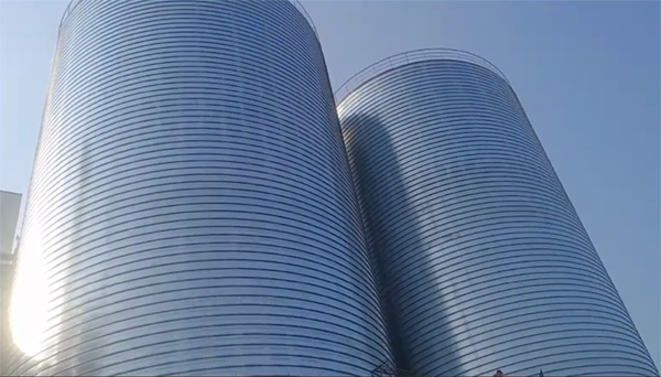 巴州2座混凝土高架卷板仓